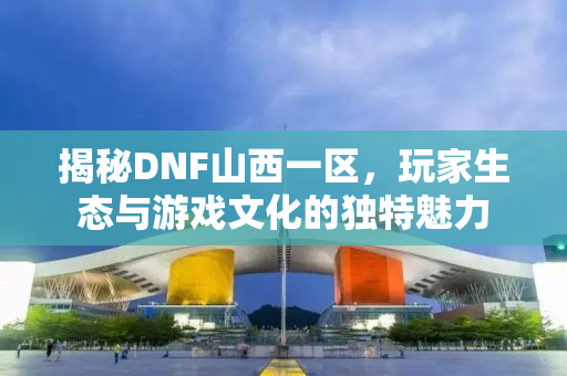 揭秘DNF山西一区，玩家生态与游戏文化的独特魅力