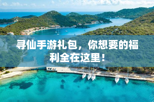 寻仙手游礼包，你想要的福利全在这里！