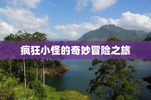 疯狂小怪的奇妙冒险之旅