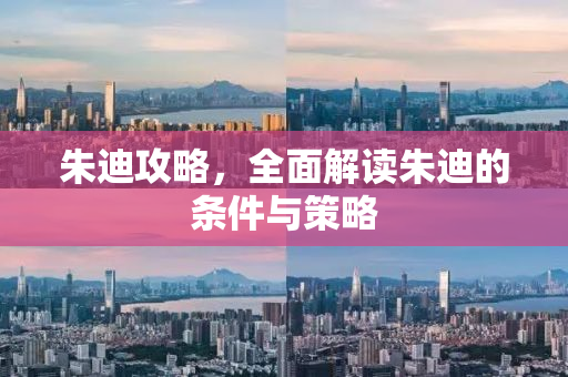 朱迪攻略，全面解读朱迪的条件与策略