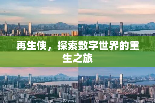 再生侠，探索数字世界的重生之旅