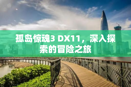 孤岛惊魂3 DX11，深入探索的冒险之旅