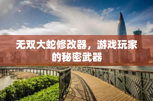 无双大蛇修改器，游戏玩家的秘密武器