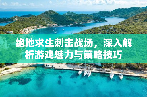 绝地求生刺击战场，深入解析游戏魅力与策略技巧