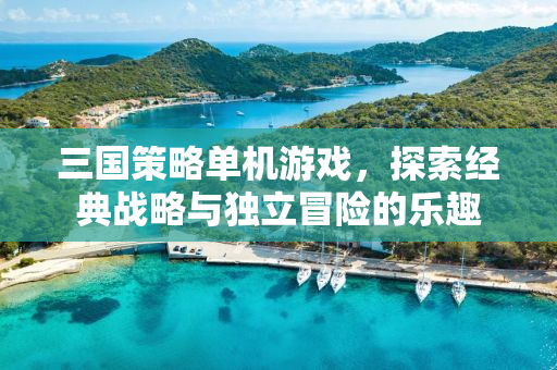 三国策略单机游戏，探索经典战略与独立冒险的乐趣
