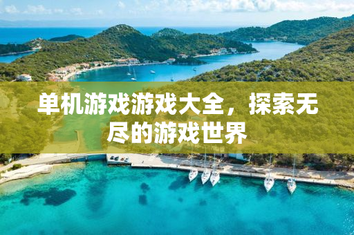 单机游戏游戏大全，探索无尽的游戏世界