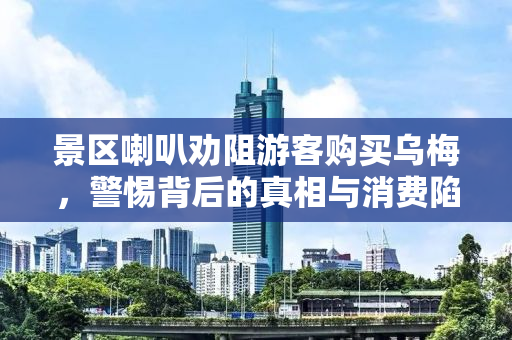 景区喇叭劝阻游客购买乌梅，警惕背后的真相与消费陷阱