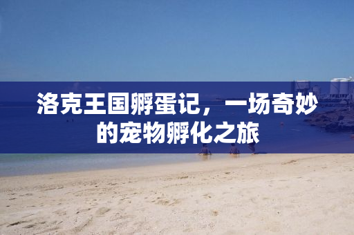 洛克王国孵蛋记，一场奇妙的宠物孵化之旅