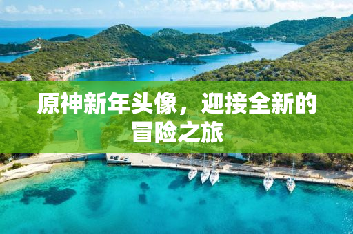 原神新年头像，迎接全新的冒险之旅