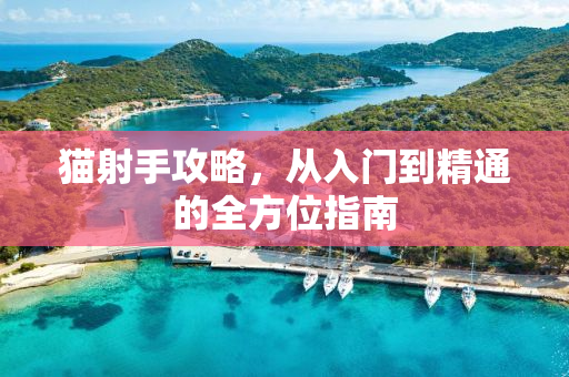 猫射手攻略，从入门到精通的全方位指南