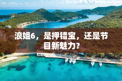 浪姐6，是押错宝，还是节目新魅力？