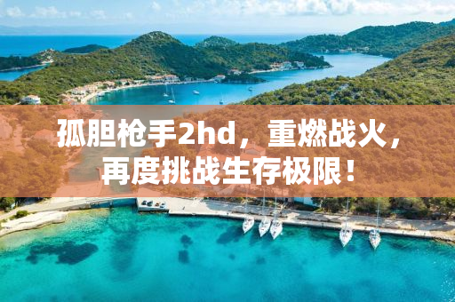 孤胆枪手2hd，重燃战火，再度挑战生存极限！