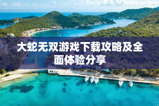 大蛇无双游戏下载攻略及全面体验分享