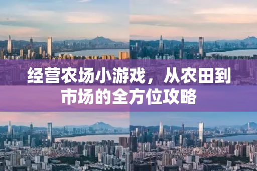 经营农场小游戏，从农田到市场的全方位攻略
