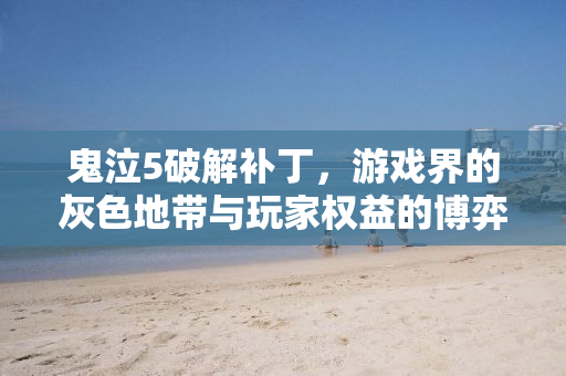 鬼泣5破解补丁，游戏界的灰色地带与玩家权益的博弈