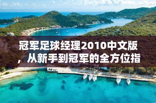 冠军足球经理2010中文版，从新手到冠军的全方位指南