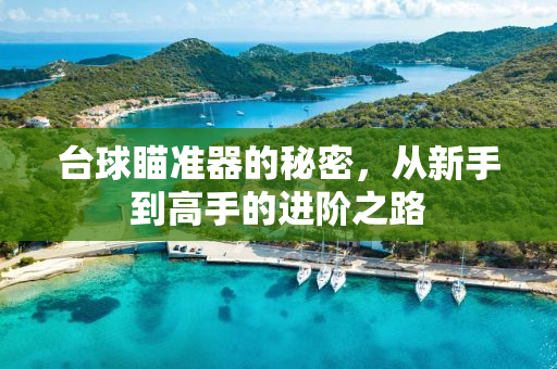 台球瞄准器的秘密，从新手到高手的进阶之路