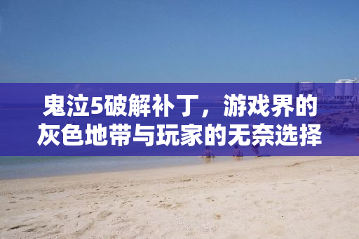 鬼泣5破解补丁，游戏界的灰色地带与玩家的无奈选择