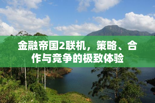 金融帝国2联机，策略、合作与竞争的极致体验