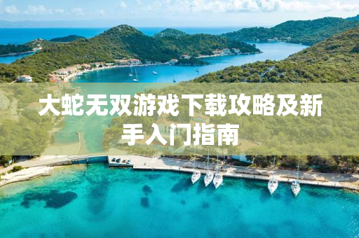 大蛇无双游戏下载攻略及新手入门指南