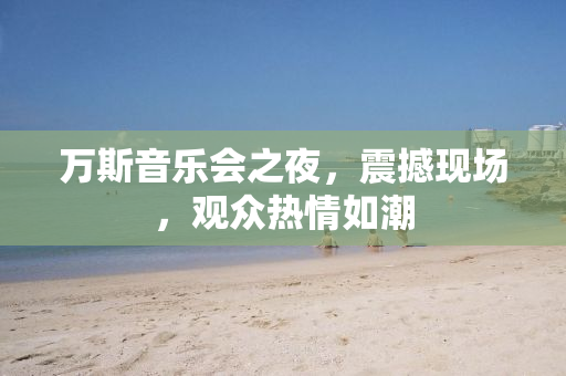 万斯音乐会之夜，震撼现场，观众热情如潮