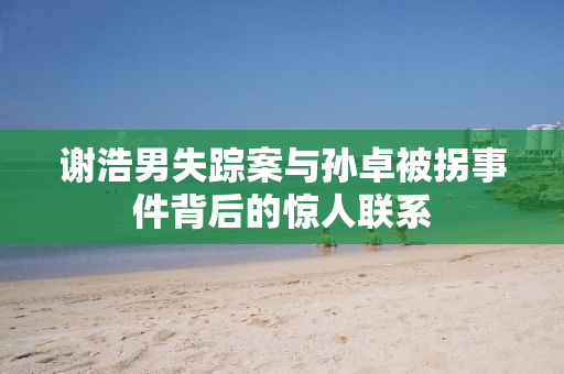 谢浩男失踪案与孙卓被拐事件背后的惊人联系