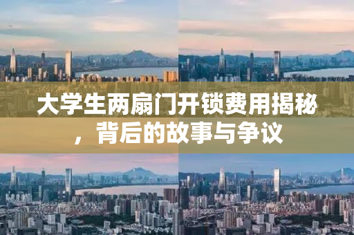 大学生两扇门开锁费用揭秘，背后的故事与争议