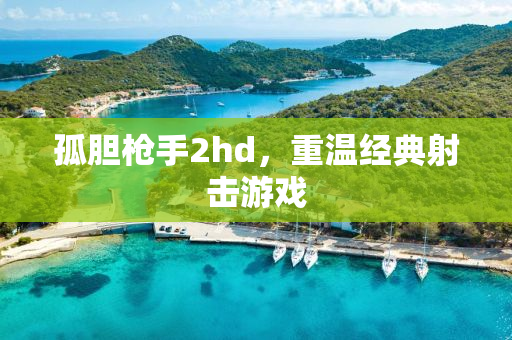 孤胆枪手2hd，重温经典射击游戏