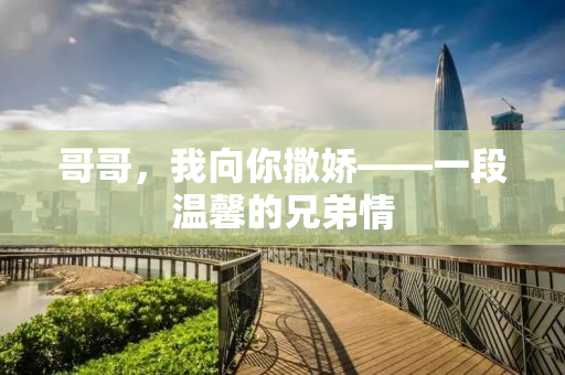 哥哥，我向你撒娇——一段温馨的兄弟情