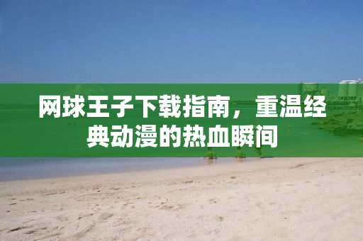 网球王子下载指南，重温经典动漫的热血瞬间