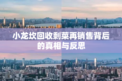 小龙坎回收剩菜再销售背后的真相与反思