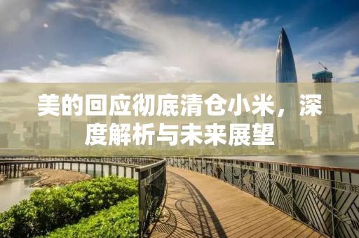 美的回应彻底清仓小米，深度解析与未来展望