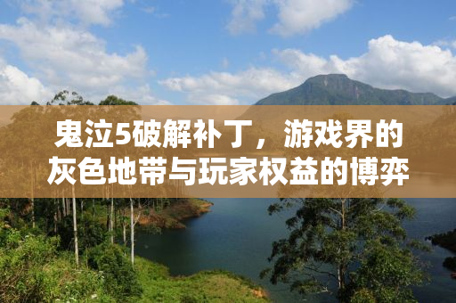 鬼泣5破解补丁，游戏界的灰色地带与玩家权益的博弈