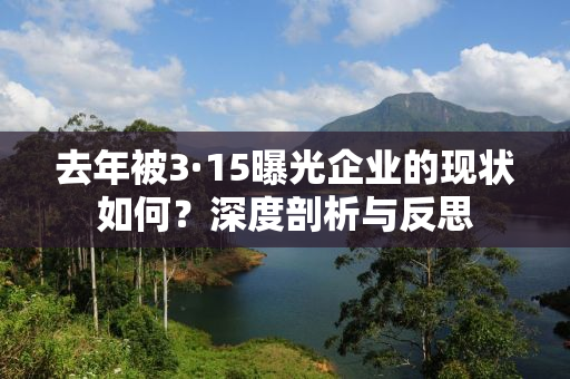 去年被3·15曝光企业的现状如何？深度剖析与反思