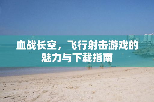 血战长空，飞行射击游戏的魅力与下载指南