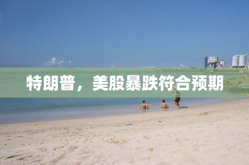 特朗普，美股暴跌符合预期
