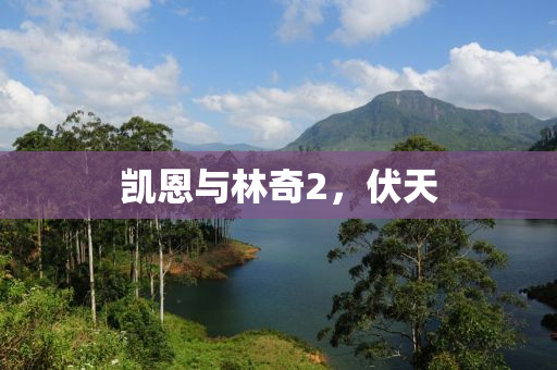 凯恩与林奇2，伏天