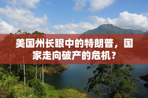 美国州长眼中的特朗普，国家走向破产的危机？