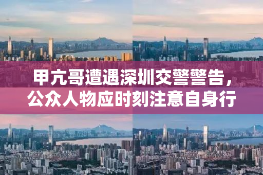 甲亢哥遭遇深圳交警警告，公众人物应时刻注意自身行为规范