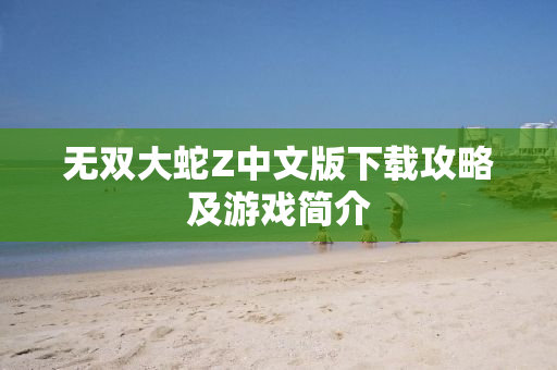 无双大蛇Z中文版下载攻略及游戏简介