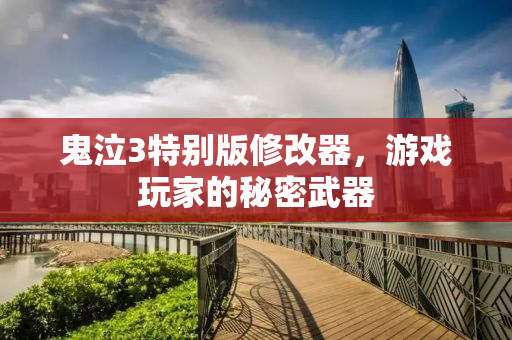鬼泣3特别版修改器，游戏玩家的秘密武器