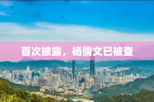 首次披露，杨儒文已被查