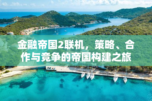 金融帝国2联机，策略、合作与竞争的帝国构建之旅