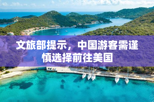 文旅部提示，中国游客需谨慎选择前往美国