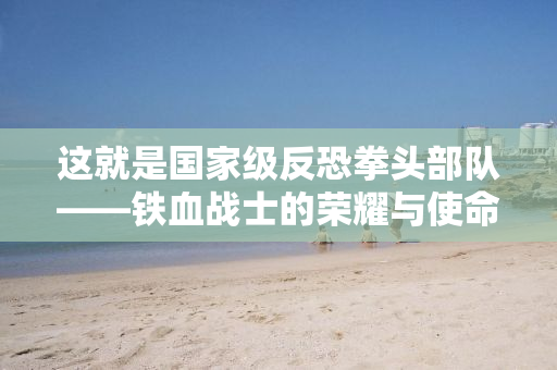这就是国家级反恐拳头部队——铁血战士的荣耀与使命