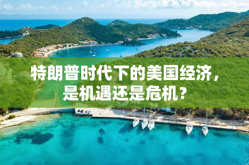 特朗普时代下的美国经济，是机遇还是危机？
