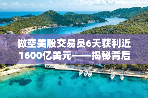 做空美股交易员6天获利近1600亿美元——揭秘背后的策略与风险