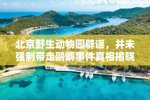北京野生动物园辟谣，并未强制带走鹦鹉事件真相揭晓