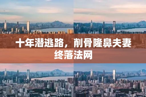 十年潜逃路，削骨隆鼻夫妻终落法网