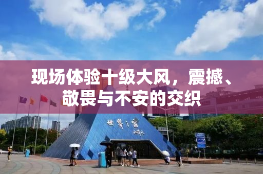 现场体验十级大风，震撼、敬畏与不安的交织
